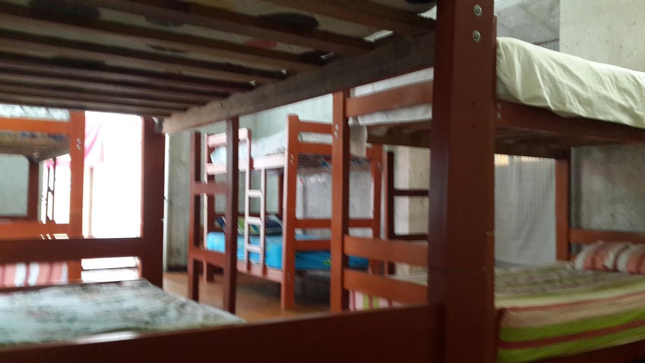 Lion Aqp Hostel Yanahuara Exterior photo